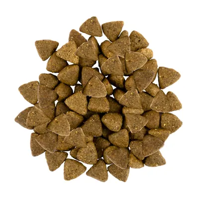 Savory Trockenfutter für kleine Hunde mit Lamm Savory Trockenfutter für kleine Hunde mit Lamm