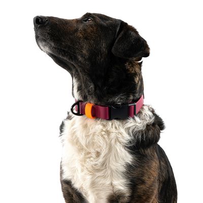 THE DOG IDEA BioThane® Halsband Bordeaux
