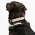 THE DOG IDEA BioThane® Halsband Taupe
