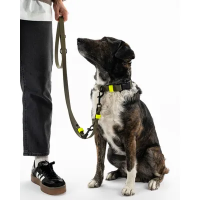 THE DOG IDEA BioThane® Halsband Khaki