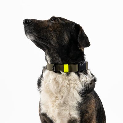 THE DOG IDEA BioThane® Halsband Khaki