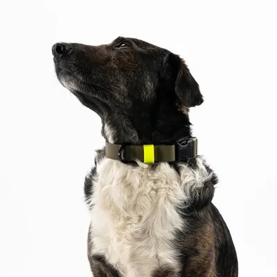 THE DOG IDEA BioThane® Halsband Khaki