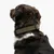 THE DOG IDEA BioThane® Halsband Khaki THE DOG IDEA BioThane® Halsband Khaki