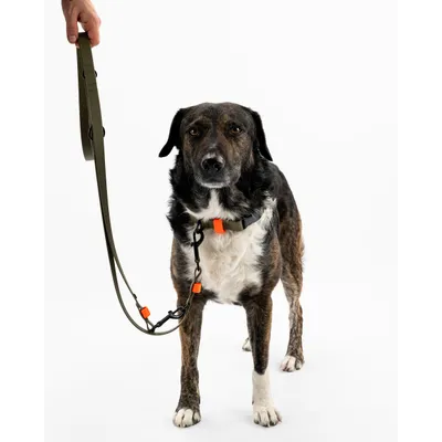 THE DOG IDEA BioThane® Halsband Khaki THE DOG IDEA BioThane® Halsband Khaki