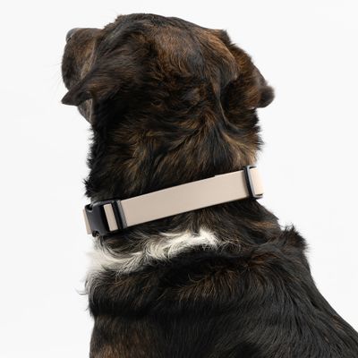 THE DOG IDEA BioThane® Halsband Taupe