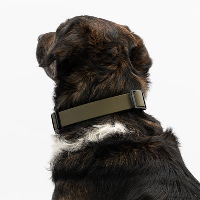 THE DOG IDEA BioThane® Halsband Khaki