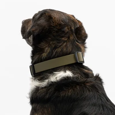 THE DOG IDEA BioThane® Halsband Khaki