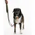 THE DOG IDEA BioThane® Halsband Khaki THE DOG IDEA BioThane® Halsband Khaki
