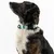 THE DOG IDEA BioThane® Halsband Sage THE DOG IDEA BioThane® Halsband Sage