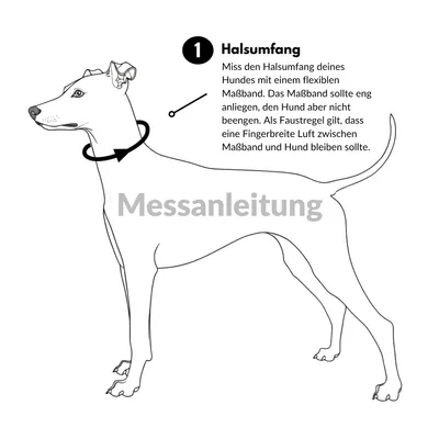 THE DOG IDEA BioThane® Halsband Khaki THE DOG IDEA BioThane® Halsband Khaki