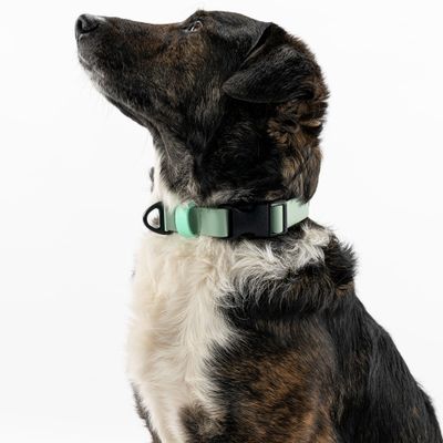 THE DOG IDEA BioThane® Halsband Sage