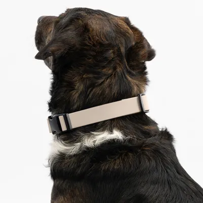THE DOG IDEA BioThane® Halsband Taupe