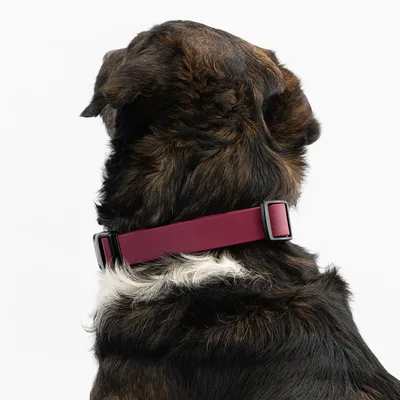 THE DOG IDEA BioThane® Halsband Bordeaux THE DOG IDEA BioThane® Halsband Bordeaux