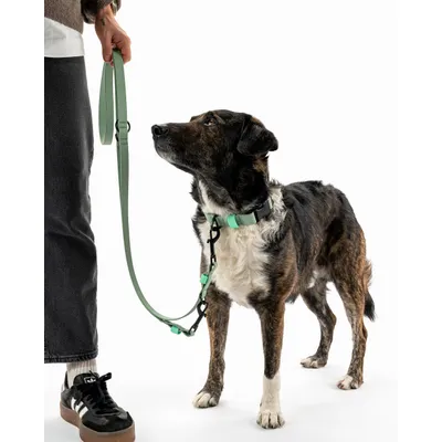 THE DOG IDEA BioThane® Halsband Sage THE DOG IDEA BioThane® Halsband Sage