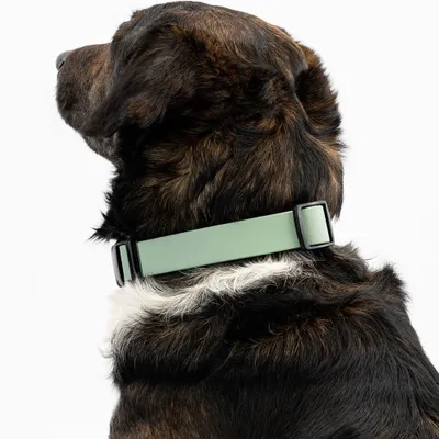 THE DOG IDEA BioThane® Halsband Sage THE DOG IDEA BioThane® Halsband Sage