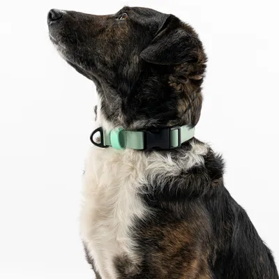 THE DOG IDEA BioThane® Halsband Sage THE DOG IDEA BioThane® Halsband Sage