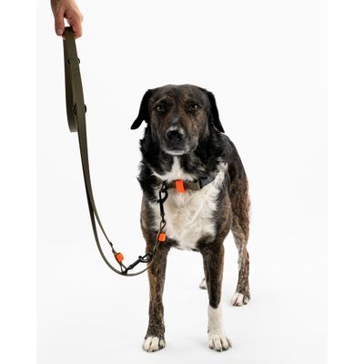 THE DOG IDEA BioThane® Hundeleine Khaki