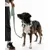 THE DOG IDEA BioThane® Hundeleine Sage