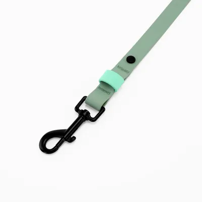 THE DOG IDEA BioThane® Hundeleine Sage