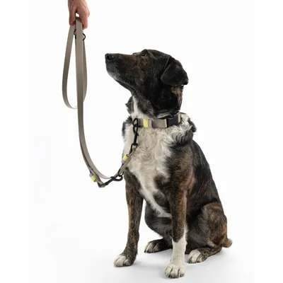 THE DOG IDEA BioThane® Hundeleine Taupe THE DOG IDEA BioThane® Hundeleine Taupe