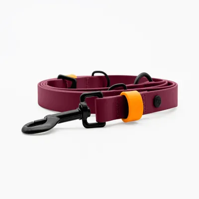 THE DOG IDEA BioThane® Hundeleine Bordeaux