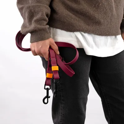 THE DOG IDEA BioThane® Hundeleine Bordeaux