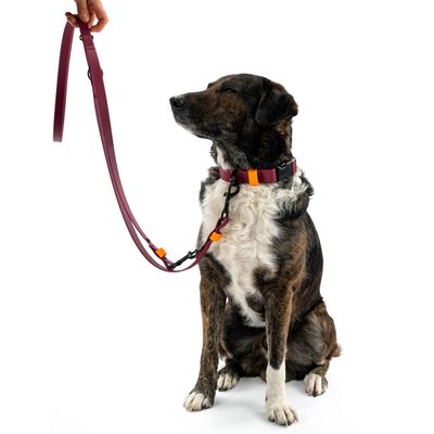 THE DOG IDEA BioThane® Hundeleine Bordeaux