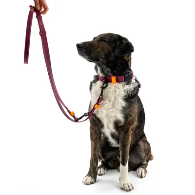 THE DOG IDEA BioThane® Hundeleine Bordeaux