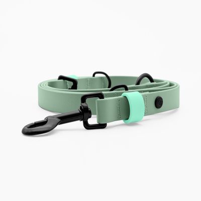 THE DOG IDEA BioThane® Hundeleine Sage
