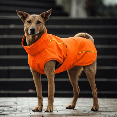 THE DOG IDEA Hunderegenmantel Duke Orange THE DOG IDEA Hunderegenmantel Duke Orange