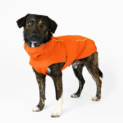 THE DOG IDEA Hunderegenmantel Duke Orange THE DOG IDEA Hunderegenmantel Duke Orange