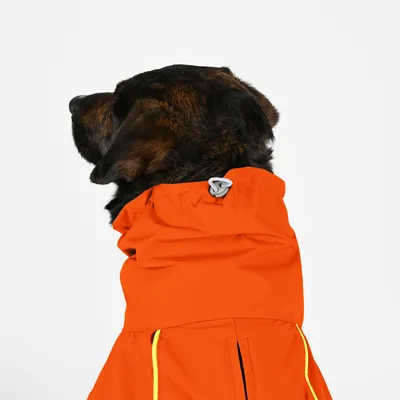 THE DOG IDEA Hunderegenmantel Duke Orange