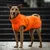THE DOG IDEA Hunderegenmantel Duke Orange THE DOG IDEA Hunderegenmantel Duke Orange