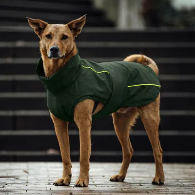 THE DOG IDEA Hunderegenmantel Duke Dunkelgrün THE DOG IDEA Hunderegenmantel Duke Dunkelgrün