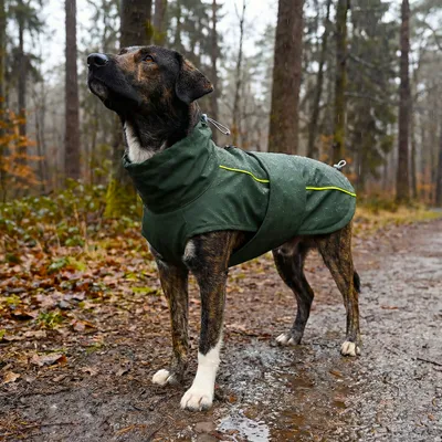 THE DOG IDEA Hunderegenmantel Duke Dunkelgrün