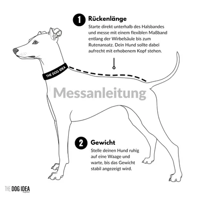 THE DOG IDEA Hunderegenmantel Duke Dunkelgrün THE DOG IDEA Hunderegenmantel Duke Dunkelgrün