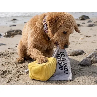 Bandit - Jouet Chien Beurre Salé - Peluche Bretonne   Couineur