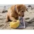 Bandit - Jouet Chien Beurre Salé - Peluche Bretonne Couineur Bandit - Jouet Chien Beurre Salé - Peluche Bretonne Couineur