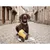 Bandit - Jouet Chien Beurre Salé - Peluche Bretonne Couineur Bandit - Jouet Chien Beurre Salé - Peluche Bretonne Couineur