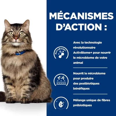 HILL'S - CHAT ADULT PRESCRIPTION DIETS BIOME (boite) HILL'S - CHAT ADULT PRESCRIPTION DIETS BIOME (boite)