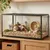 PawHut ? Cage hamster rongeur acier noir transparent toit ouvrant H.53cm PawHut ? Cage hamster rongeur acier noir transparent toit ouvrant H.53cm