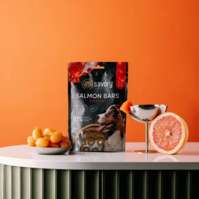 Savory Jerky Hundeleckerlis mit Lachs