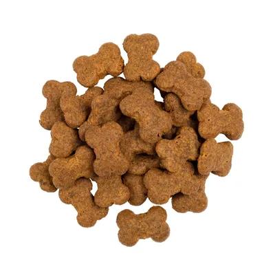 Savory Welpenleckerlis mit Lamm & Sanddorn Savory Welpenleckerlis mit Lamm & Sanddorn