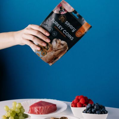 Savory Jerky Welpenleckerlis mit Pute