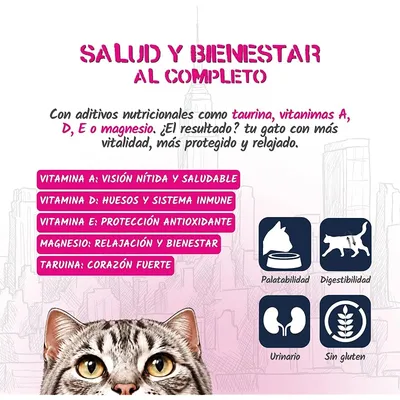 Lenda Urban Comida Húmeda para Gatos Pollo con Buey y Arándanos Lenda Urban Comida Húmeda para Gatos Pollo con Buey y Arándanos