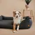 Rudelkönig Orthopädisches Hundebett Koye mit Memory Foam