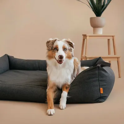 Rudelkönig Orthopädisches Hundebett Koye mit Memory Foam Rudelkönig Orthopädisches Hundebett Koye mit Memory Foam