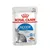 Royal Canin Feline Health Nutrition Indoor Sterilised in Gelee Royal Canin Feline Health Nutrition Indoor Sterilised in Gelee