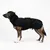 THE DOG IDEA Hundewintermantel Easton Schwarz THE DOG IDEA Hundewintermantel Easton Schwarz