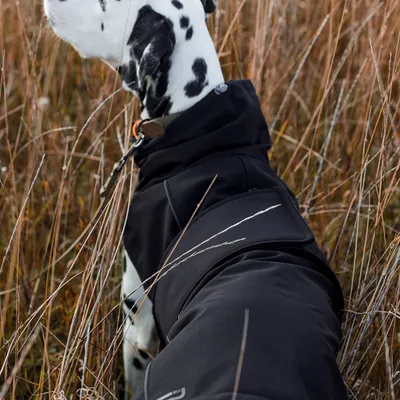 THE DOG IDEA Hundewintermantel Easton Schwarz THE DOG IDEA Hundewintermantel Easton Schwarz